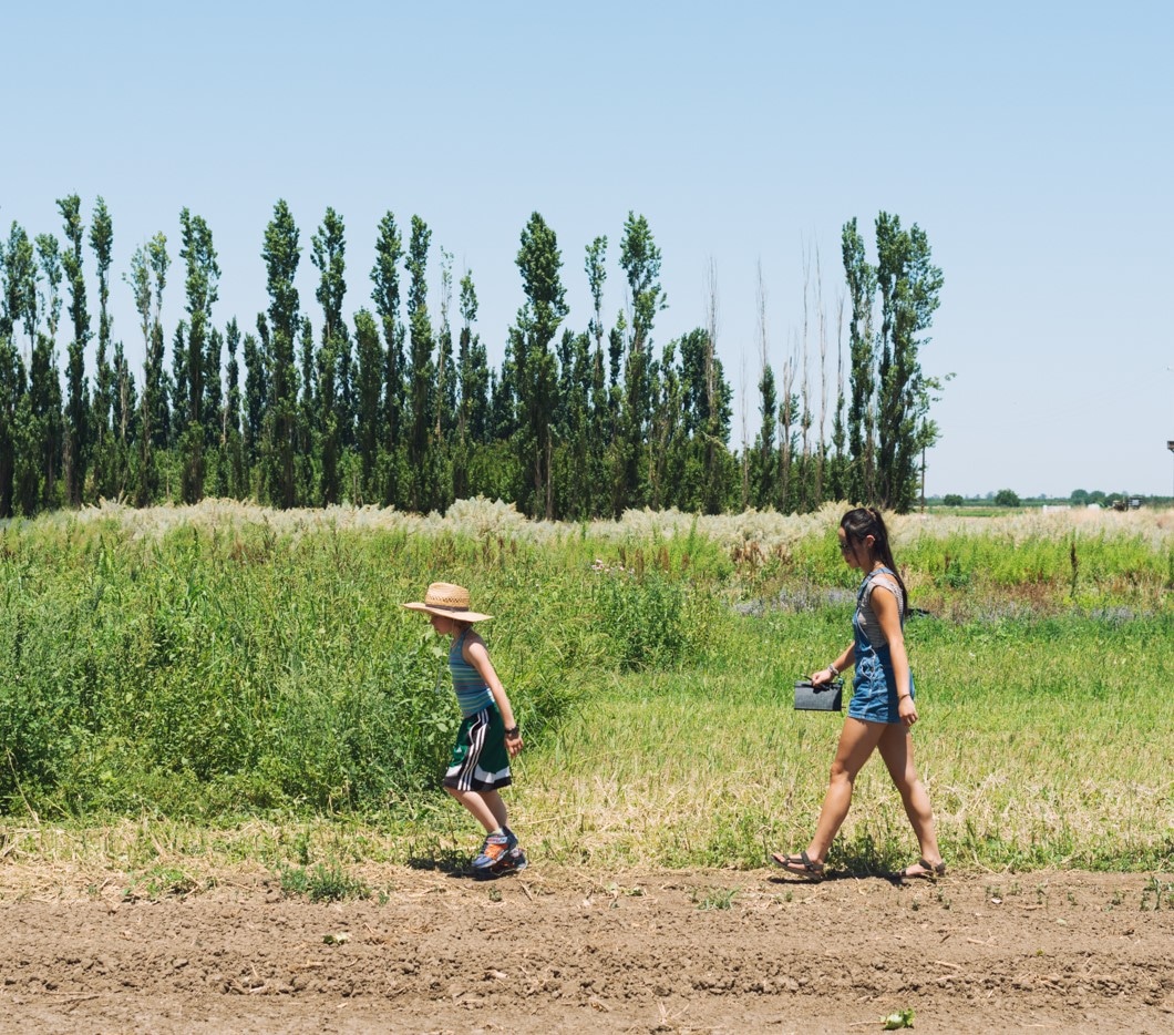 Two children walking across a field