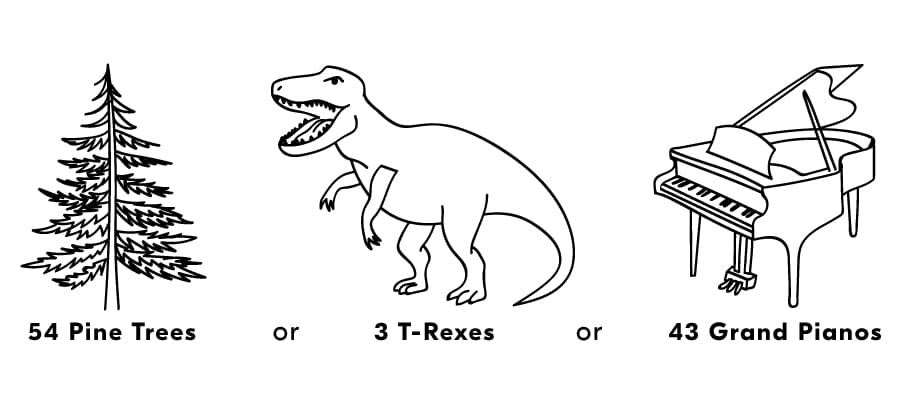 Hand illustrations of 54 pine trees, 3 t rexes and 43 grand pianos