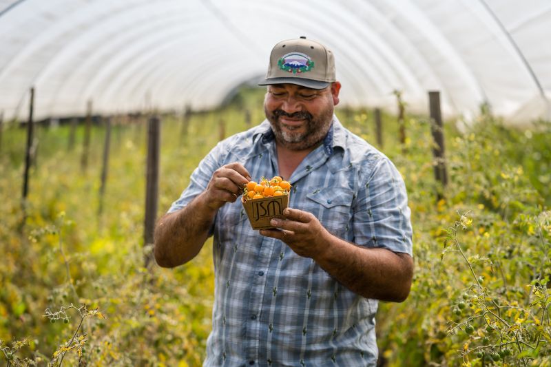 Javier in a greenhouse smiling and sampling a golden berry in a JSM box