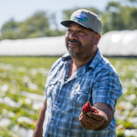 186515305 1290726041354174 2673736346788290149 N