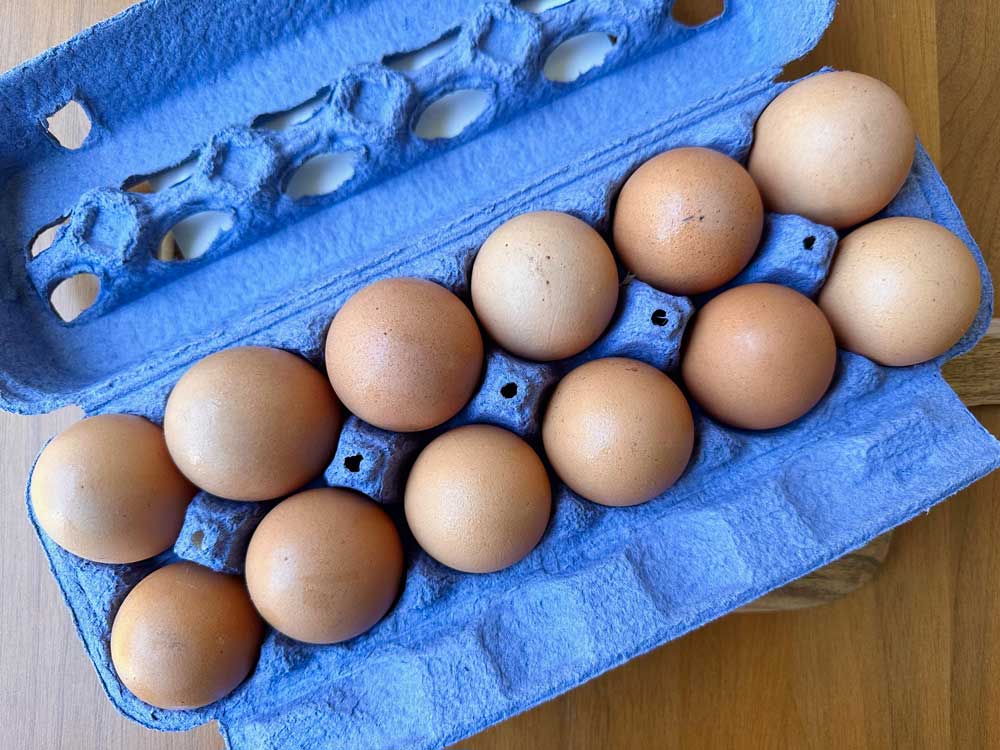 A Blue Carton Of Brown Eggs Shot Top Down