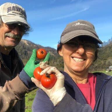 Farmers From Two Dog Farm Holding Tomatoes Harvested After Wildfires Resulted From Climate Change