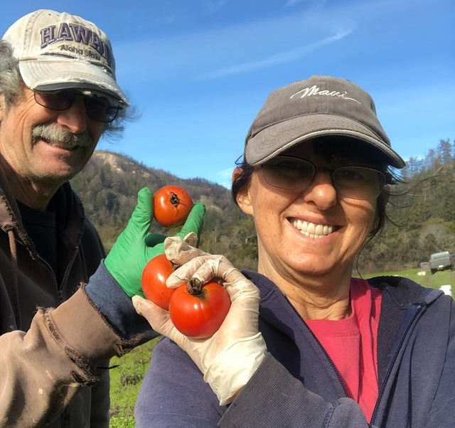 Farmers From Two Dog Farm Holding Tomatoes Harvested After Wildfires Resulted From Climate Change