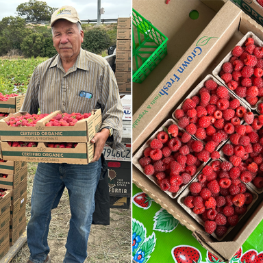 Poli Yerena At His Farm In Watsonville Holding Cases Of Berries And Freshly Picked Raspberries At The Yerena Farmstand In Watsonville